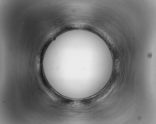 X0000103410589200810031248