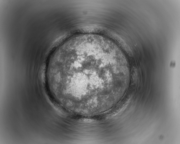 X0000103410590200810031248