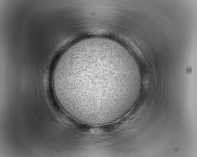 X0000103410591200810031248