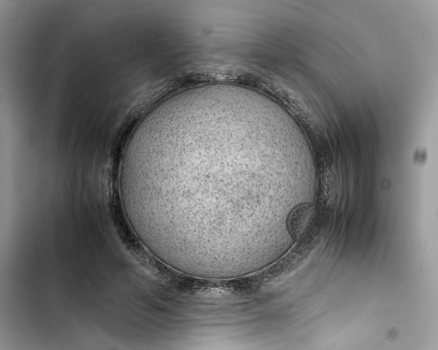 X0000103410594200810031248