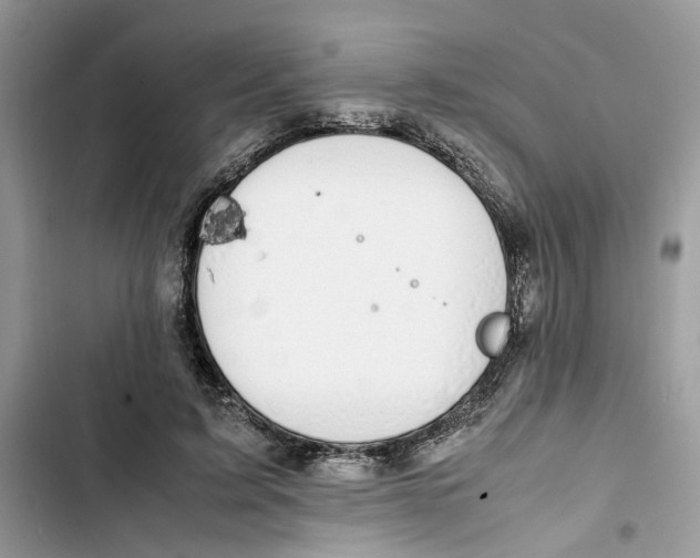 X0000103410595200810031248