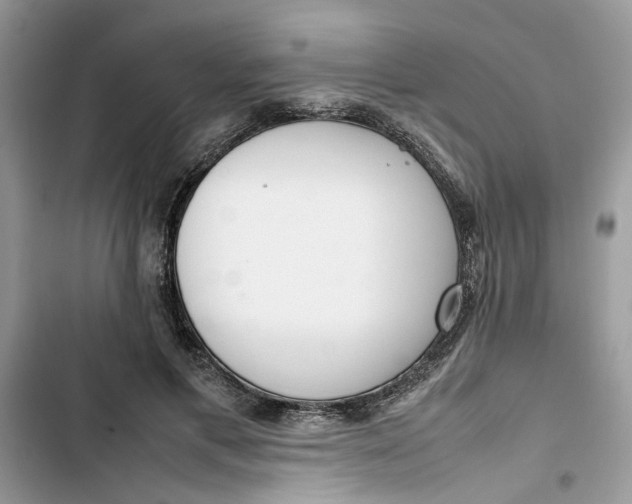 X0000103410597200810031248