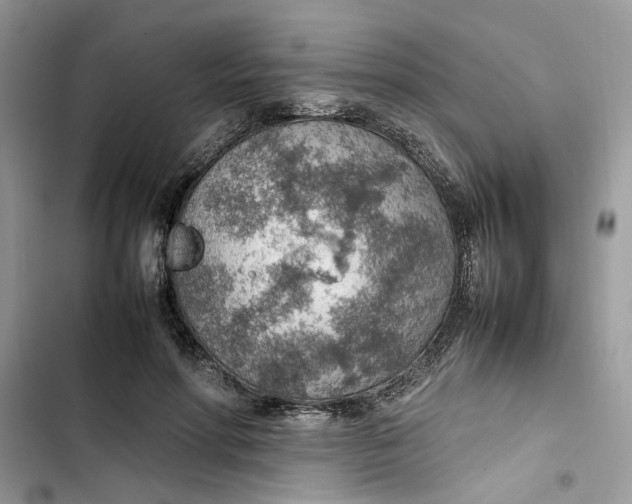 X0000103410598200810031248