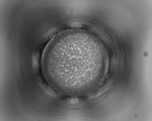 X0000103410600200810031248