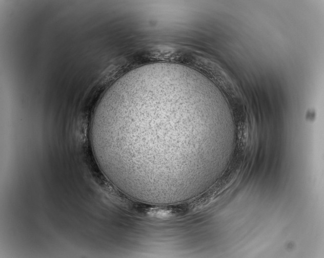 X0000103410602200810031248