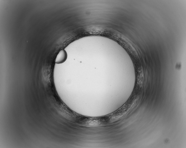 X0000103410604200810031247