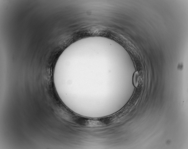 X0000103410605200810031247