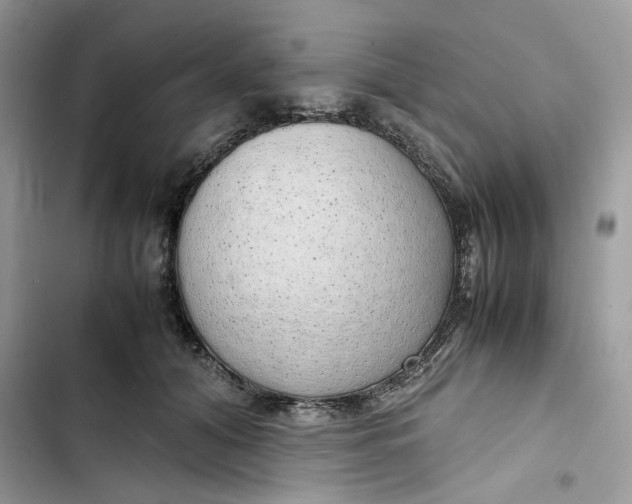 X0000103410608200810031247