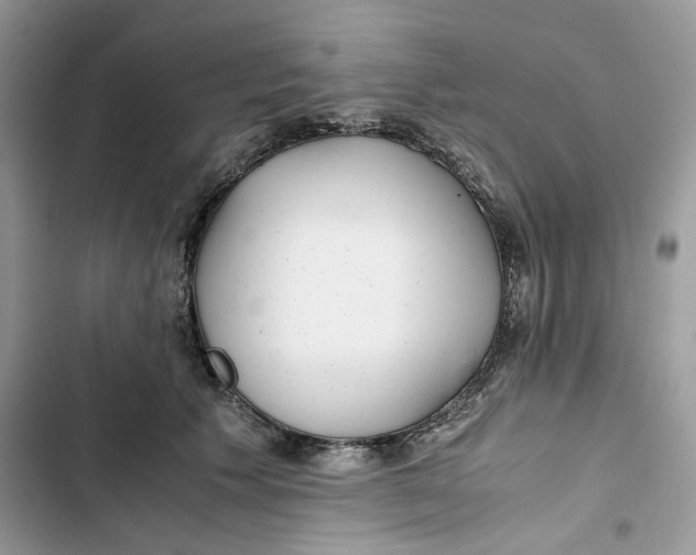 X0000103410609200810031247