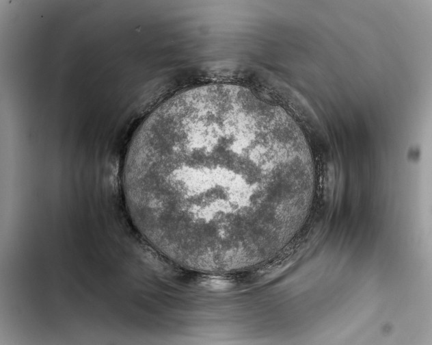 X0000103410610200810031247