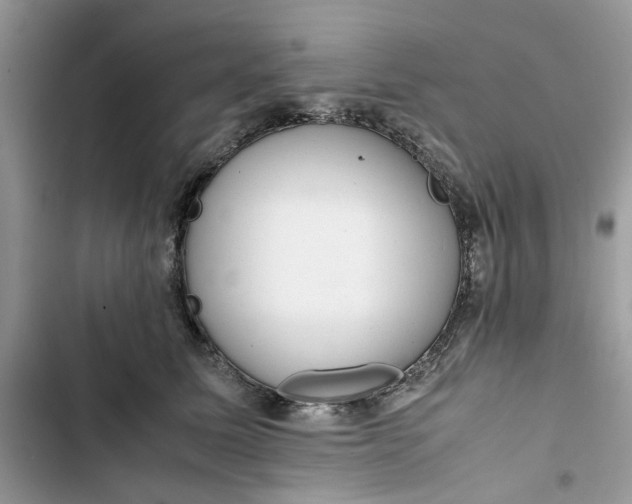 X0000103410611200810031247