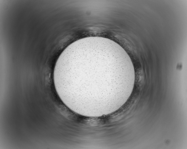 X0000103410615200810031247