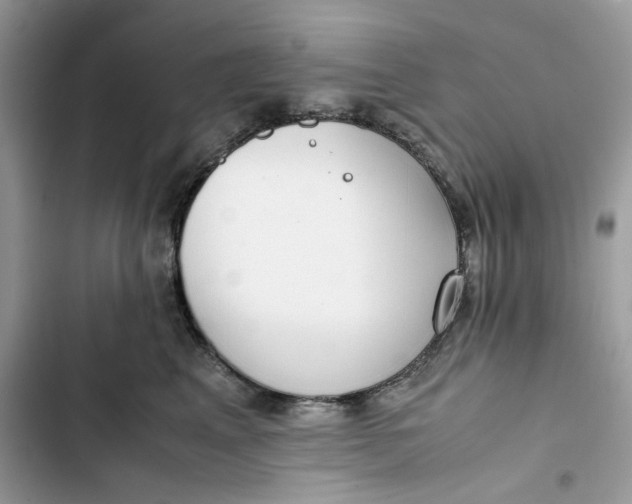 X0000103410617200810031247