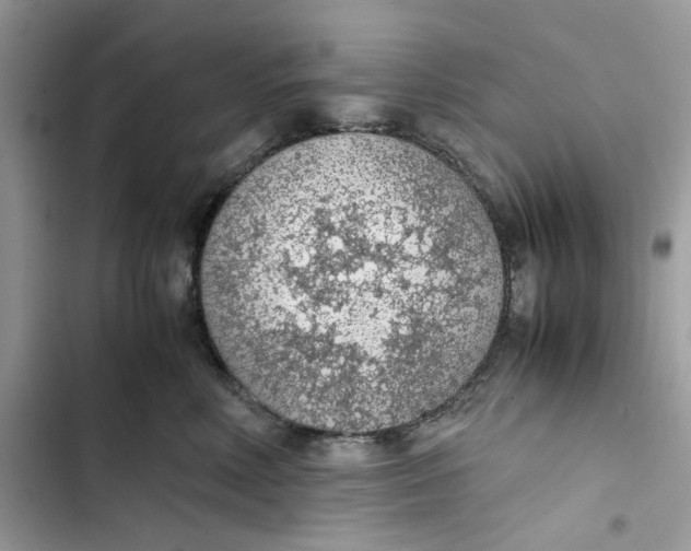 X0000103410618200810031247