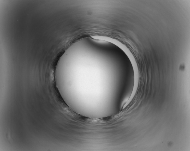 X0000103410621200810031247