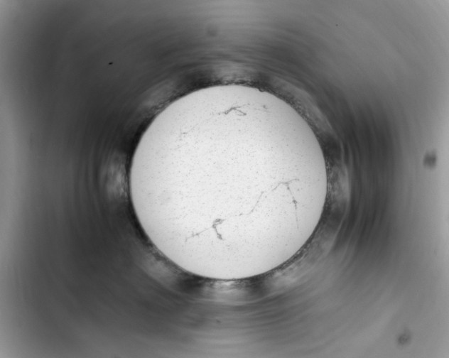 X0000103410622200810031247