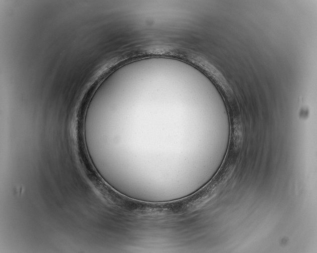 X0000103410626200810031246