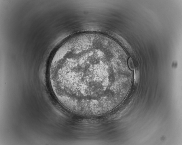 X0000103410627200810031246