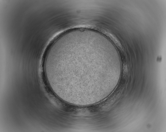 X0000103410628200810031246