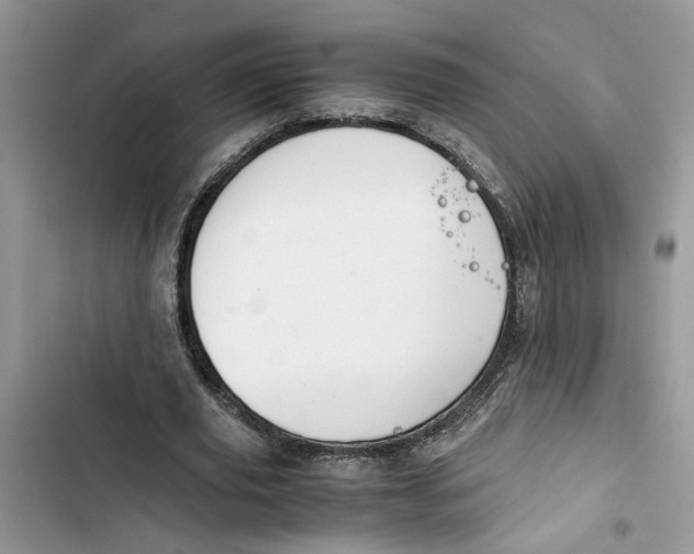 X0000103410629200810031246