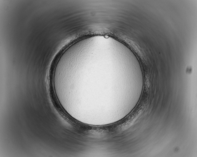 X0000103410630200810031246