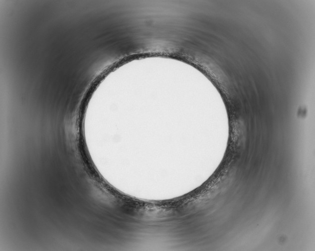 X0000103410632200810031246