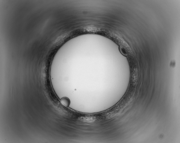 X0000103410639200810031247