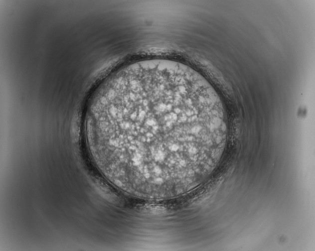 X0000103410640200810031247