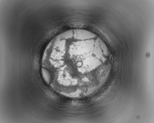 X0000103410641200810031247