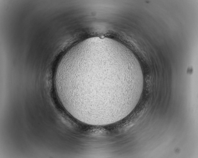 X0000103410642200810031247