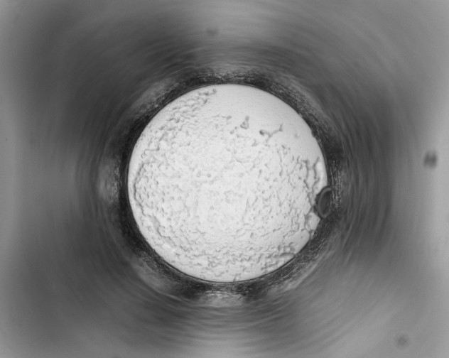 X0000103410644200810031247