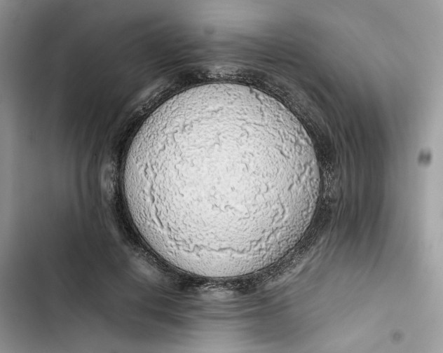 X0000103410648200810031247