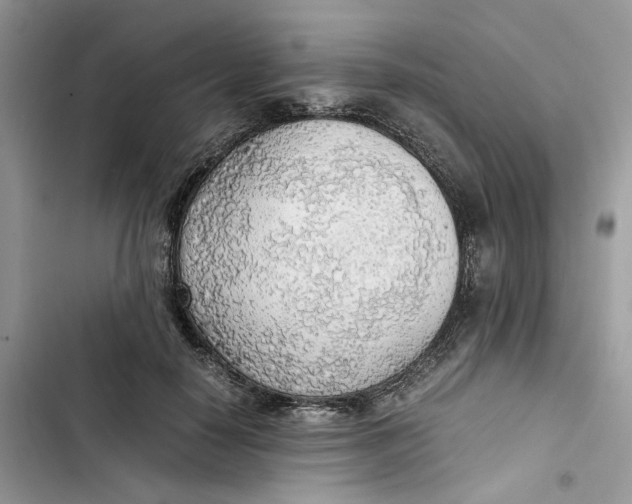 X0000103410650200810031247