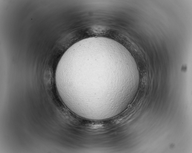 X0000103410651200810031247