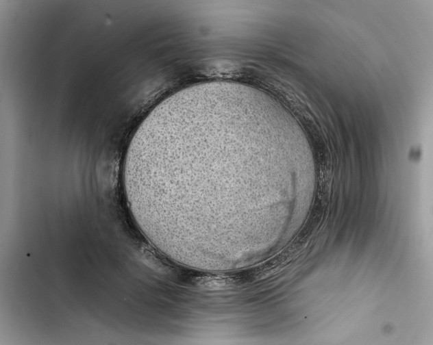 X0000103410652200810031247