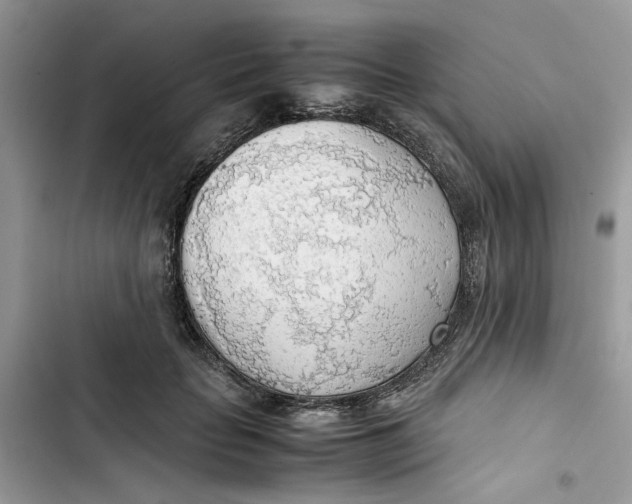 X0000103410653200810031247