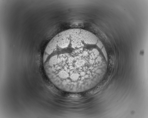 X0000103410659200810031247