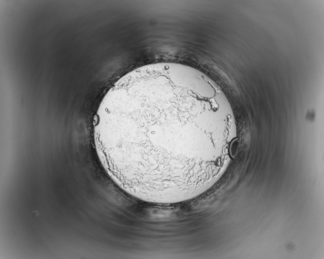 X0000103410661200810031247