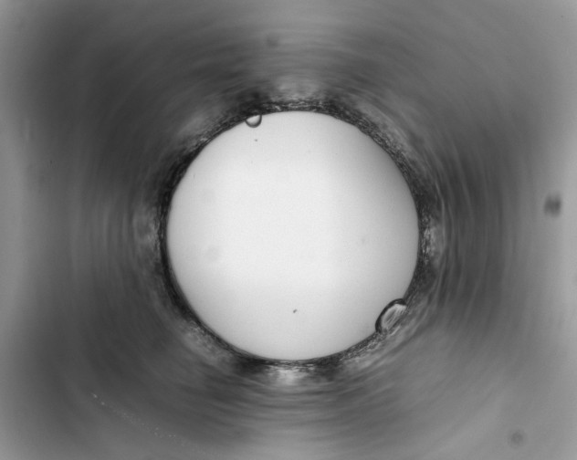 X0000103410662200810031247