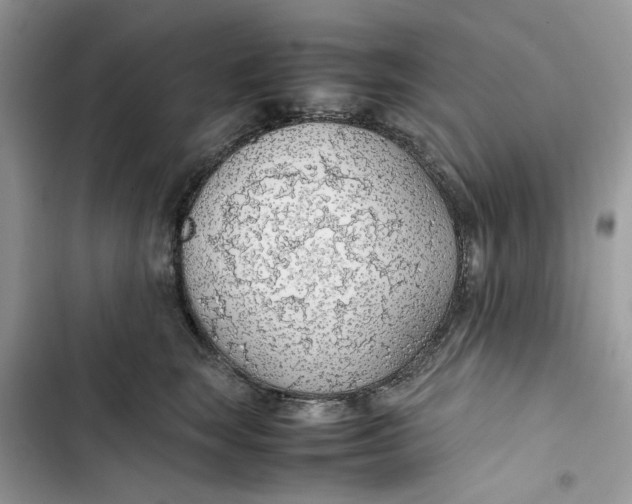 X0000103410663200810031247