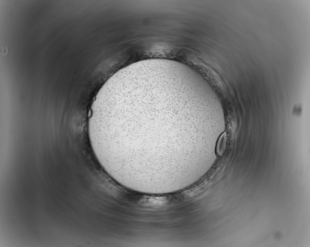 X0000103410665200810031247