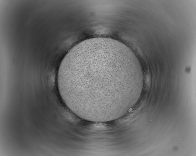 X0000103410668200810031247