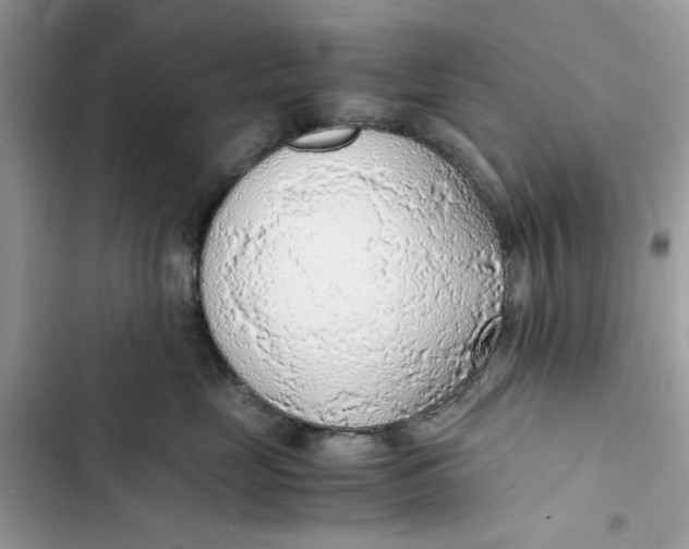 X0000103410669200810031247