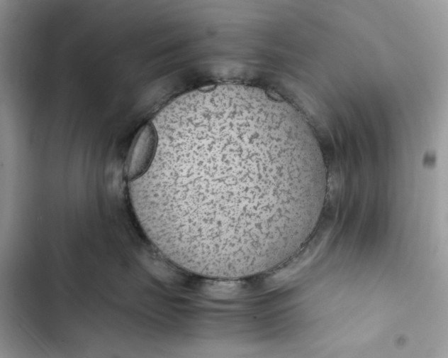 X0000103410671200810031247