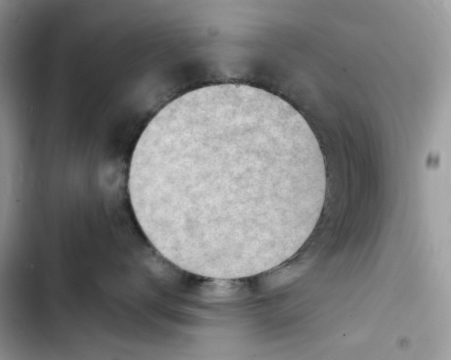 X0000103410672200810031247