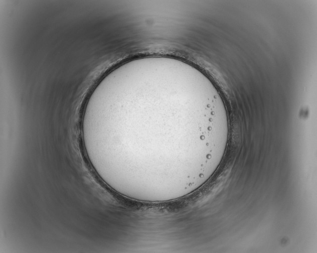 X0000103410673200810031246