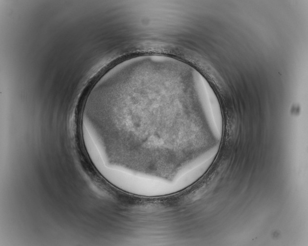 X0000103410674200810031246