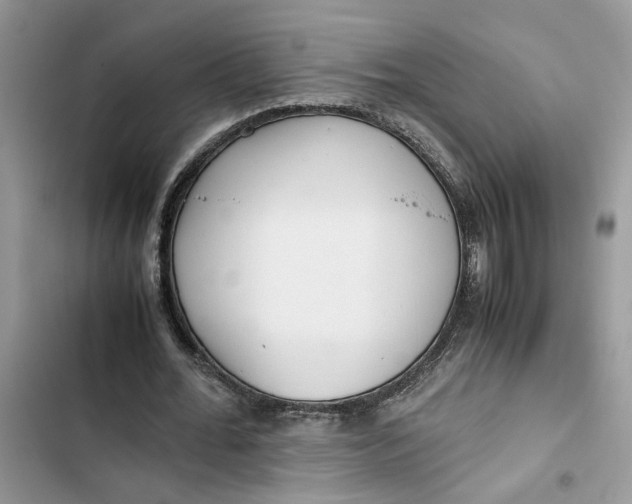 X0000103410676200810031246