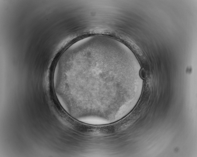 X0000103410678200810031246