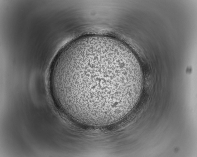 X0000103410679200810031246